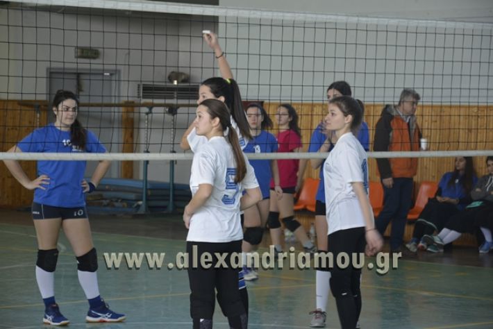 volley_1o-alexandreias-melikis2018 (34)